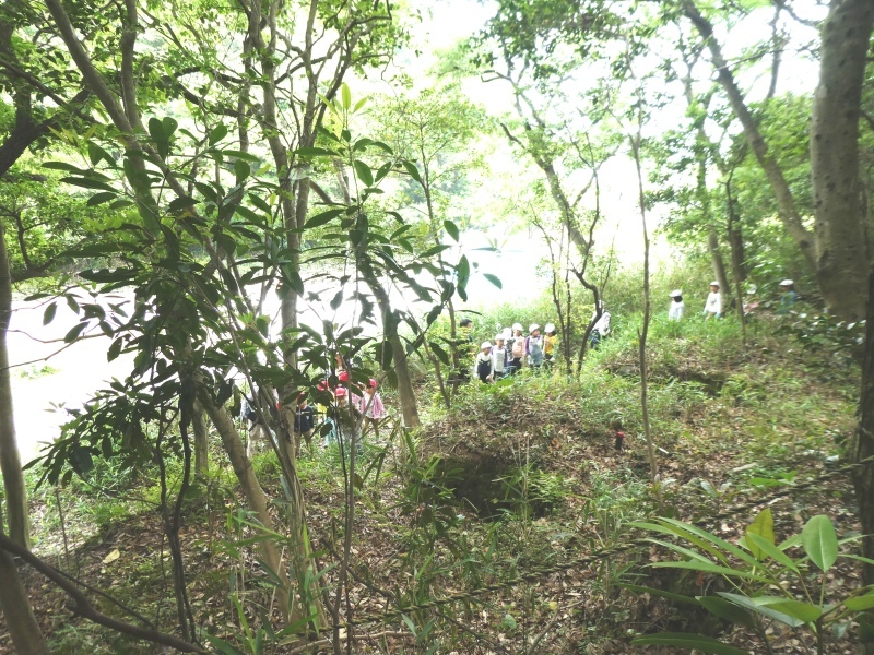 c0108460_16004396.jpg