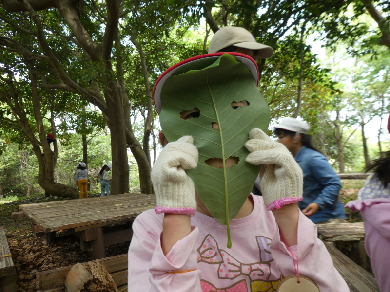 c0108460_16152440.jpg
