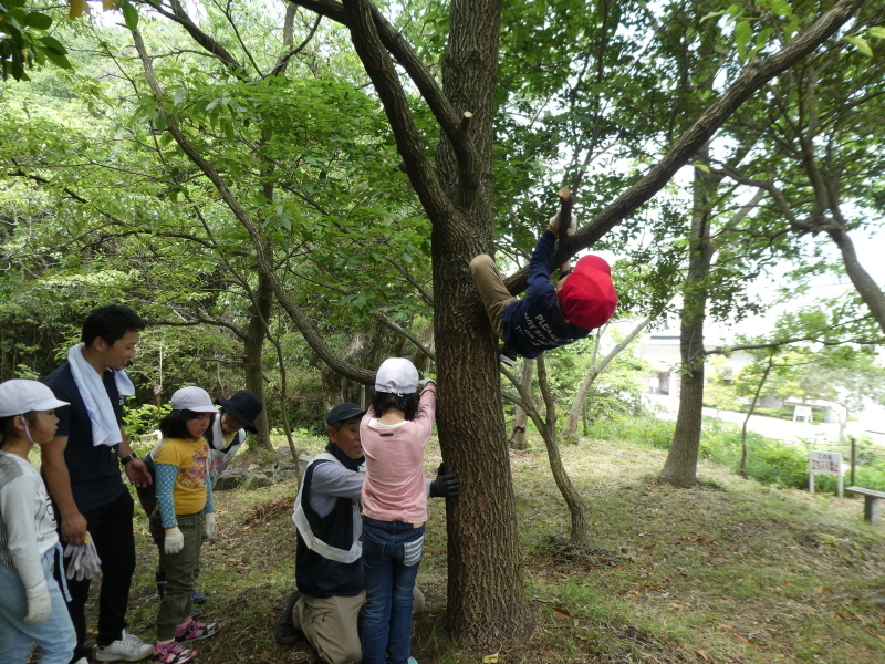 c0108460_16194255.jpg