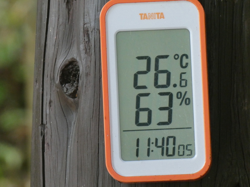 c0108460_16315415.jpg