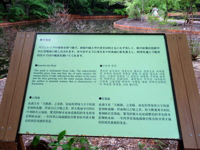万緑の雲場池 * リフレクションの美しさ_f0236260_16121785.jpg