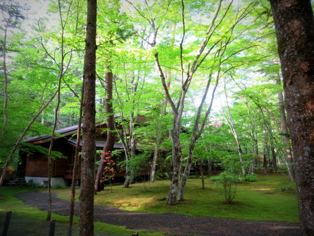 万緑の雲場池 * リフレクションの美しさ_f0236260_16222552.jpg