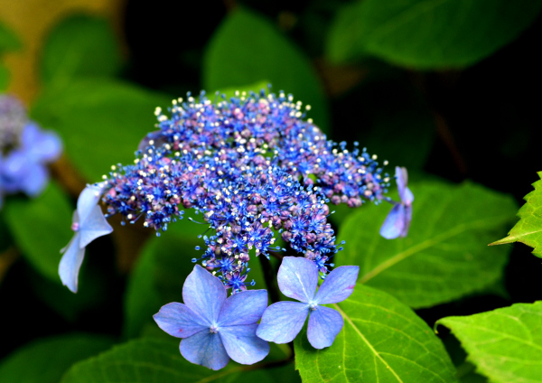 a0016161_18585920.jpg
