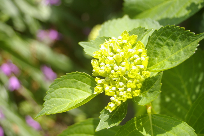 a0048463_09265190.jpg