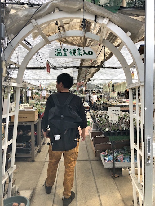 趣味の園芸「三貴フラワーセンター」_f0324766_10572581.jpg