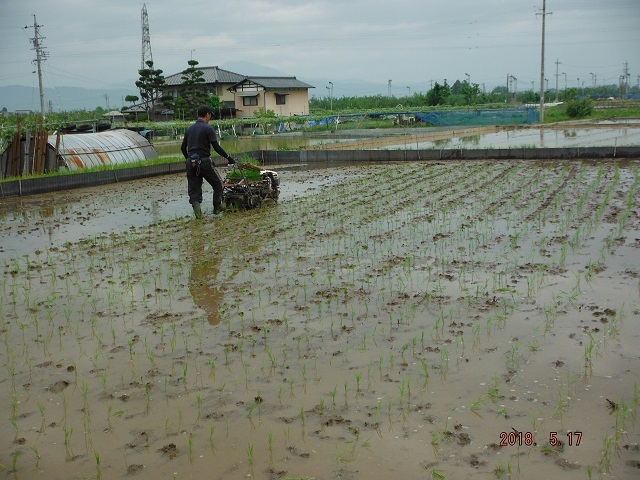 気温の変動が大きい中、田植えは順調に終了です_b0186772_20283079.jpg