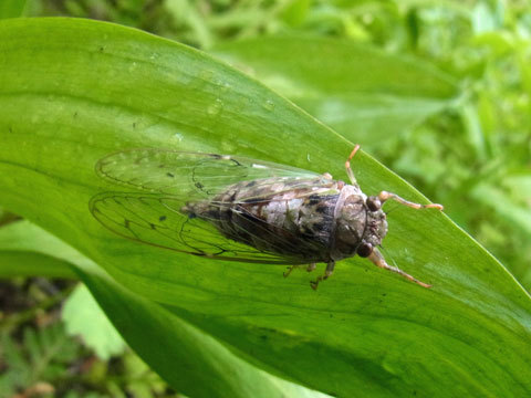 f0083977_21035141.jpg