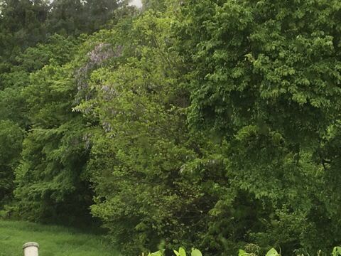 c0380878_19364625.jpg