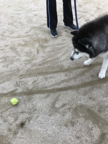 f0315081_23561653.jpeg
