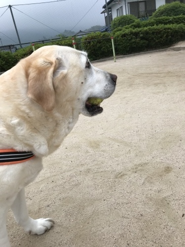 f0315081_23573196.jpeg