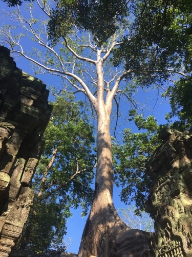 d0348182_12592697.jpeg