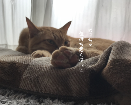 a0216583_22380711.png