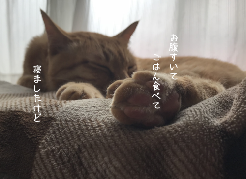 a0216583_22381308.png
