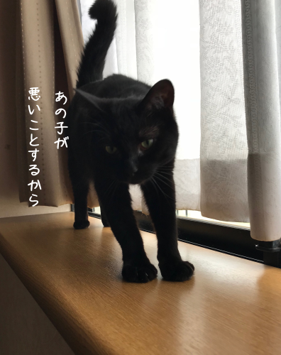 a0216583_22381907.png