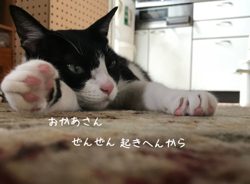 a0216583_22383238.png