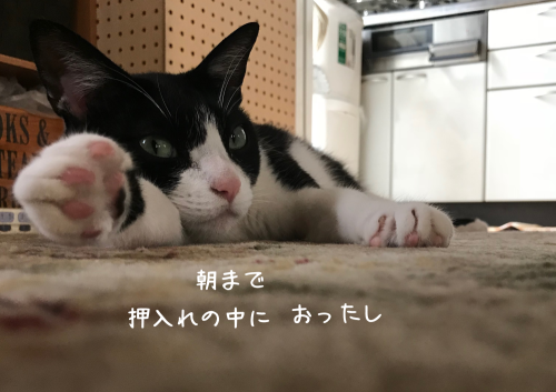 a0216583_22383575.png