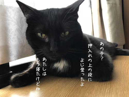 a0216583_23160741.png