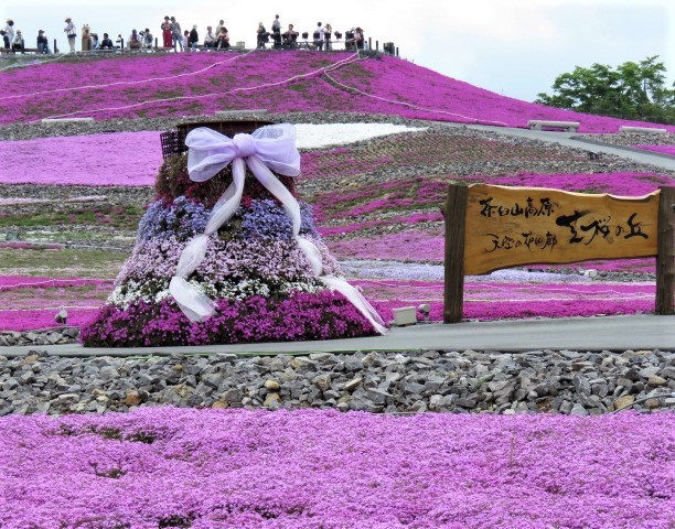 天空の花回廊「芝桜の丘」茶臼山高原_d0361783_20530413.jpg