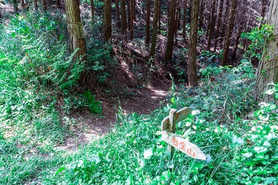 e0176993_07130067.jpg