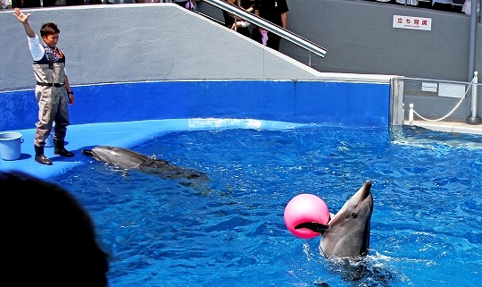 a0222494_15565487.jpg