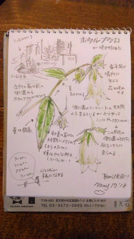 c0380497_23111652.jpg