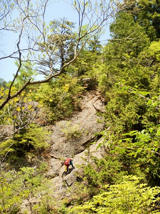 両神山の岩峰に登る_e0077899_13594445.jpg