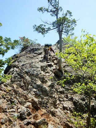 両神山の岩峰に登る_e0077899_1401796.jpg