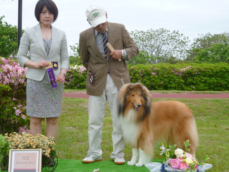 2018年鳥取県支部60周年記念展_a0159101_11141759.jpg