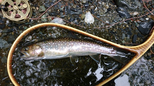b0172805_23371570.jpg
