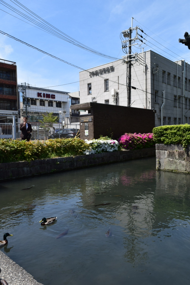 旧不動貯金銀行京都七条支店(建築家・関根要太郎作品再見)_f0142606_05294083.jpg