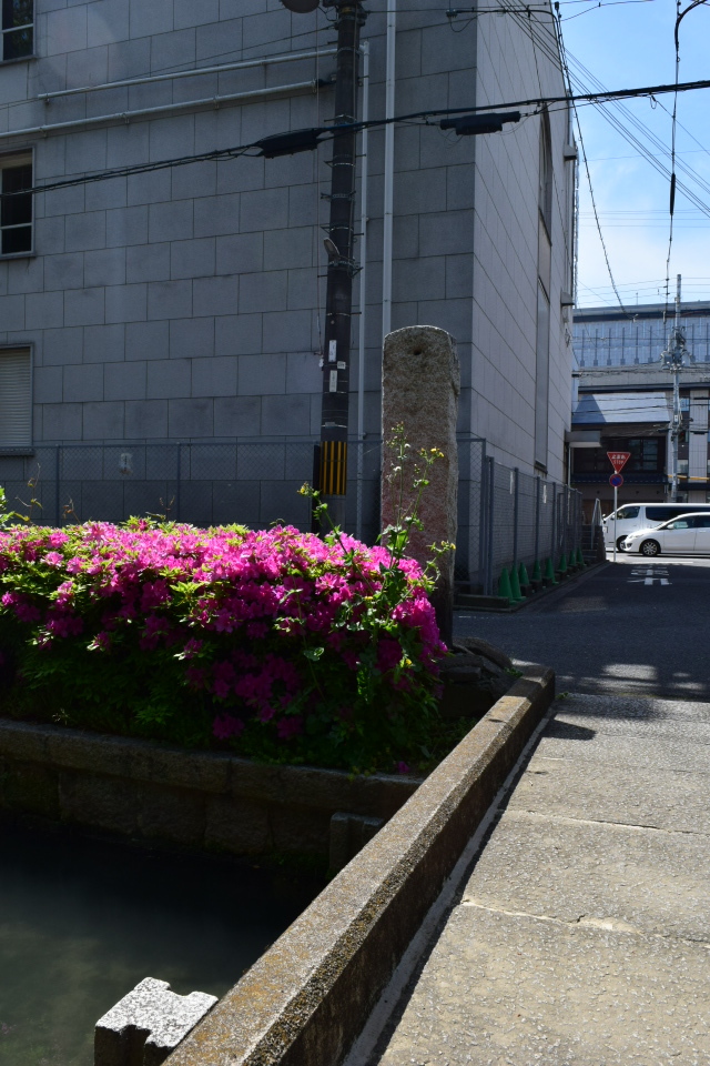 旧不動貯金銀行京都七条支店(建築家・関根要太郎作品再見)_f0142606_05365471.jpg