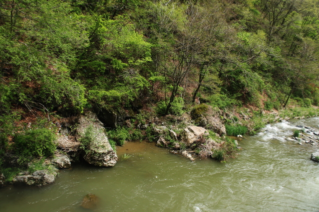 a0251508_2129564.jpg