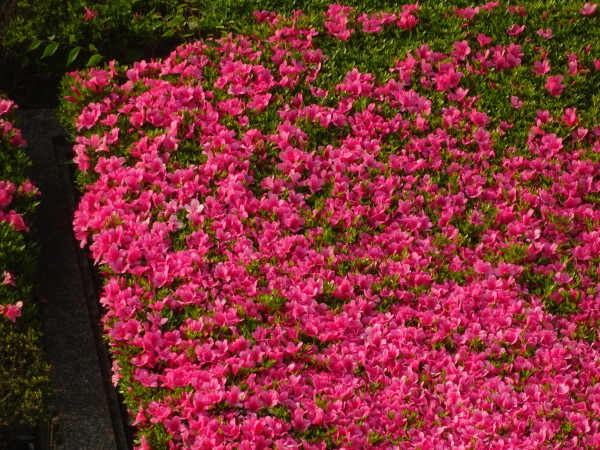 f0231709_14190147.jpg