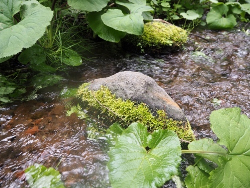d0179410_23311872.jpeg