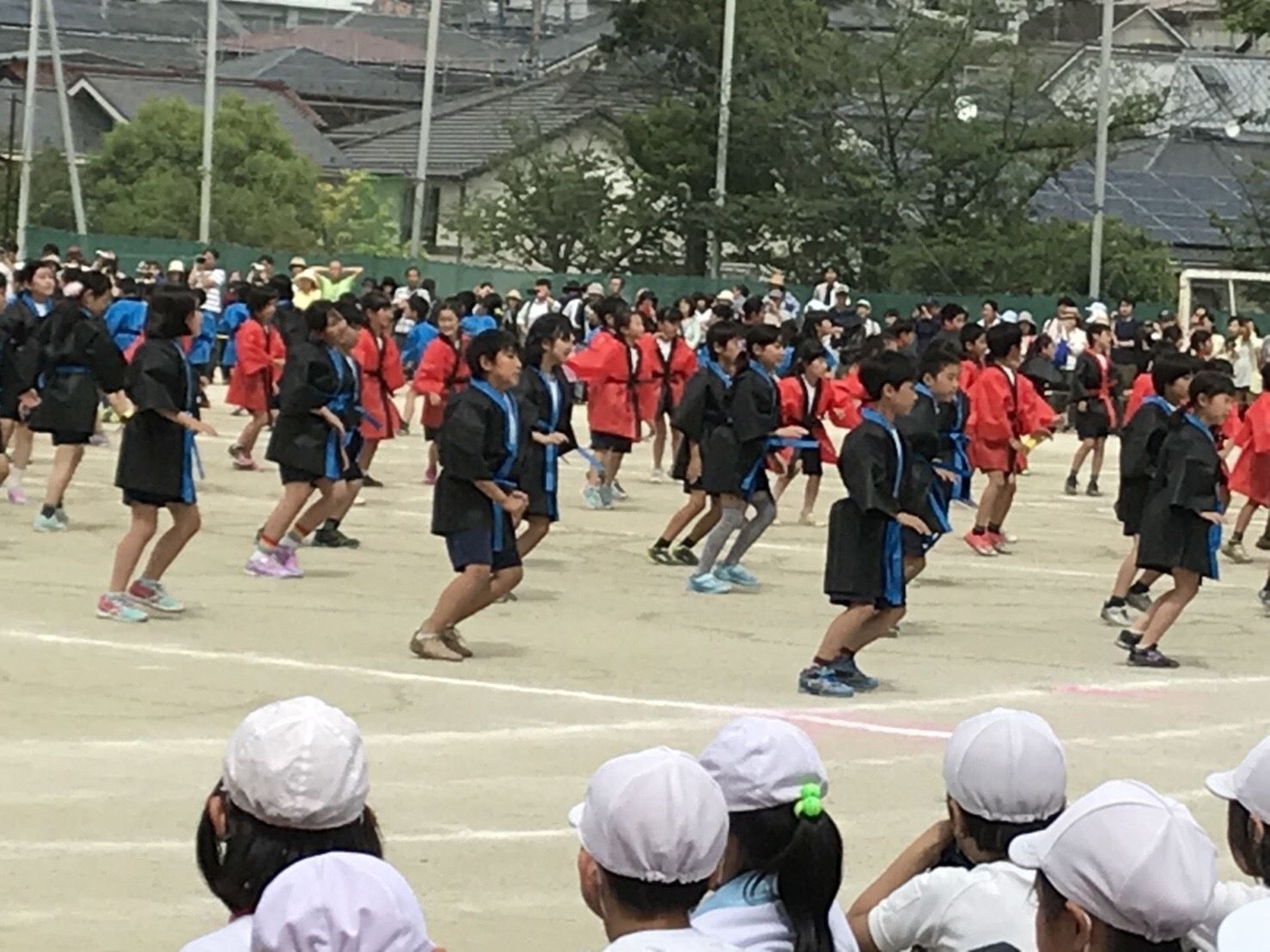 e0131910_17470930.jpg