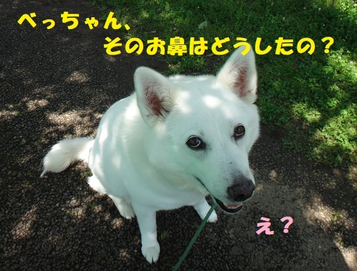 f0121712_00141459.jpg