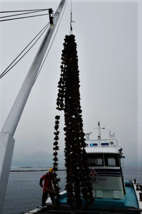 f0365212_18570679.jpg