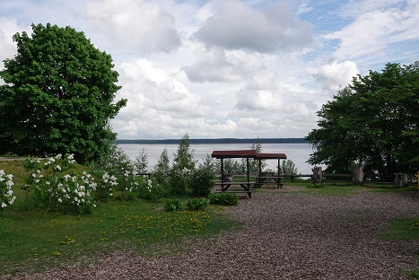 a0151913_52423.jpg
