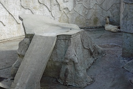 a0151913_5472043.jpg