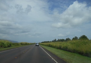 a0242019_03334561.jpg