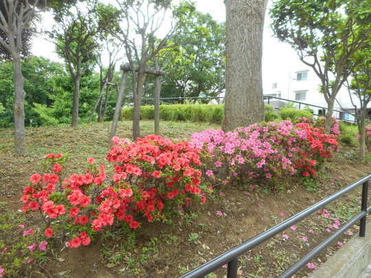 f0334619_11115514.jpg