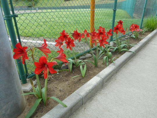 f0334619_11115560.jpg