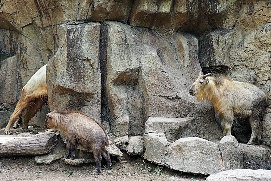 f0224624_13021399.jpg