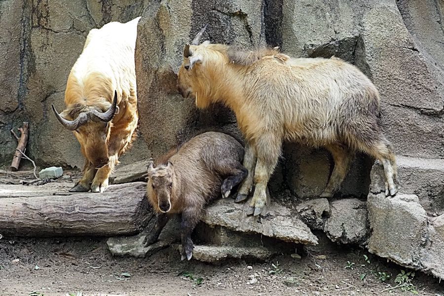 f0224624_13023820.jpg