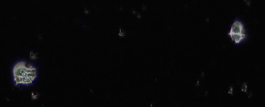 c0331825_02325361.jpg