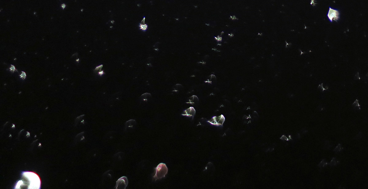 c0331825_02352350.jpg