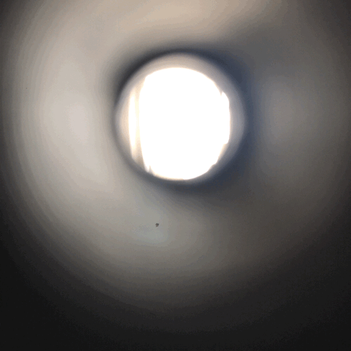 c0177026_13422721.gif