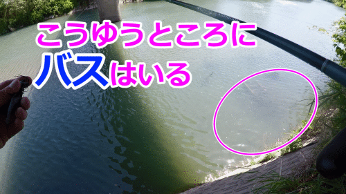 c0204027_23060233.gif