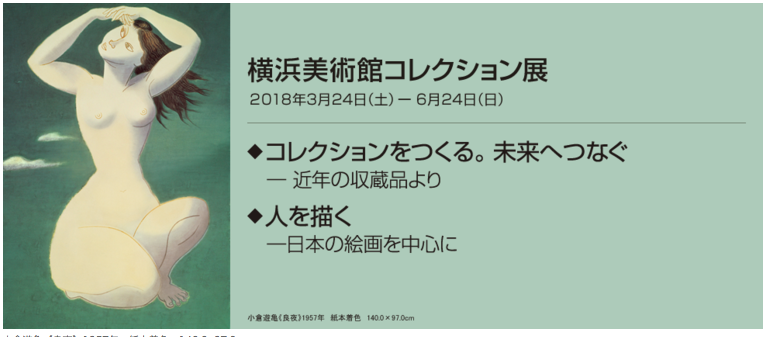 石川直樹氏 展覧会「コレクションをつくる。未来へつなぐ」_b0187229_11231860.png