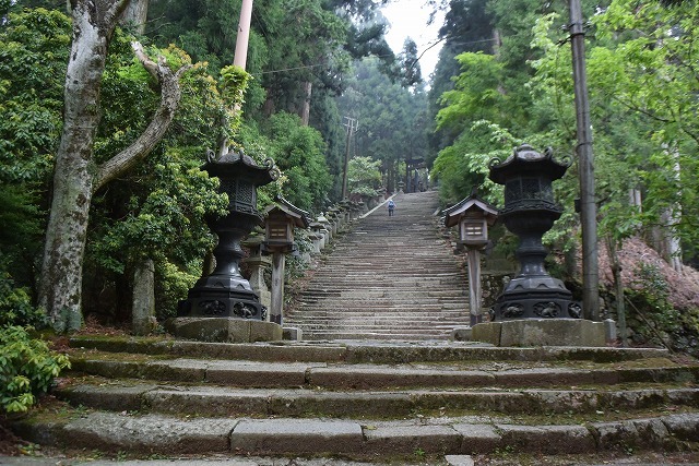 京都・愛宕山(924m)_b0341133_23120857.jpg